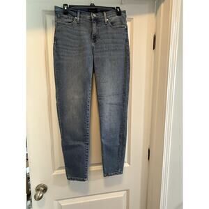 Banana Republic Mid-Rise Skinny Jeans Size 28 Blue Stretch Denim